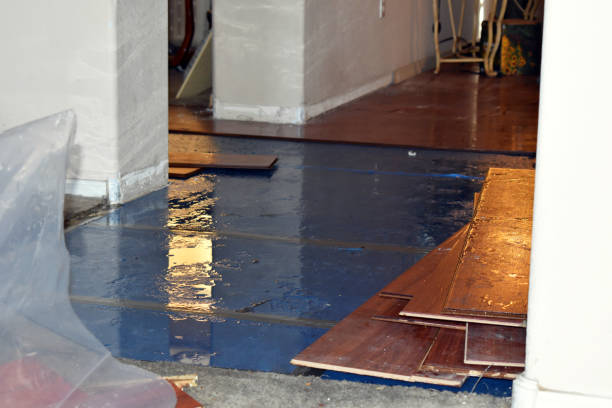 Professional Water Damage technician working in Sherwood, WI