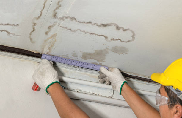 Reliable Water Damage contractor in Sherwood, WI by Water Damage Irwin